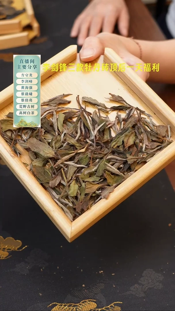 2021磻溪荒野牡丹50克