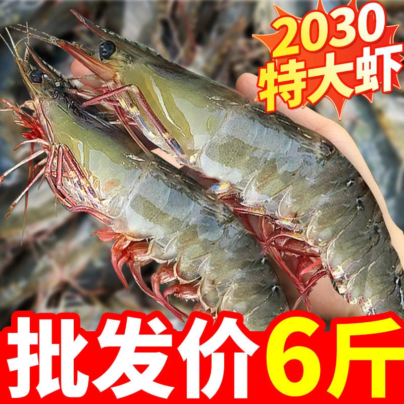 6斤海虾鲜活虾速冻净重无冰白虾