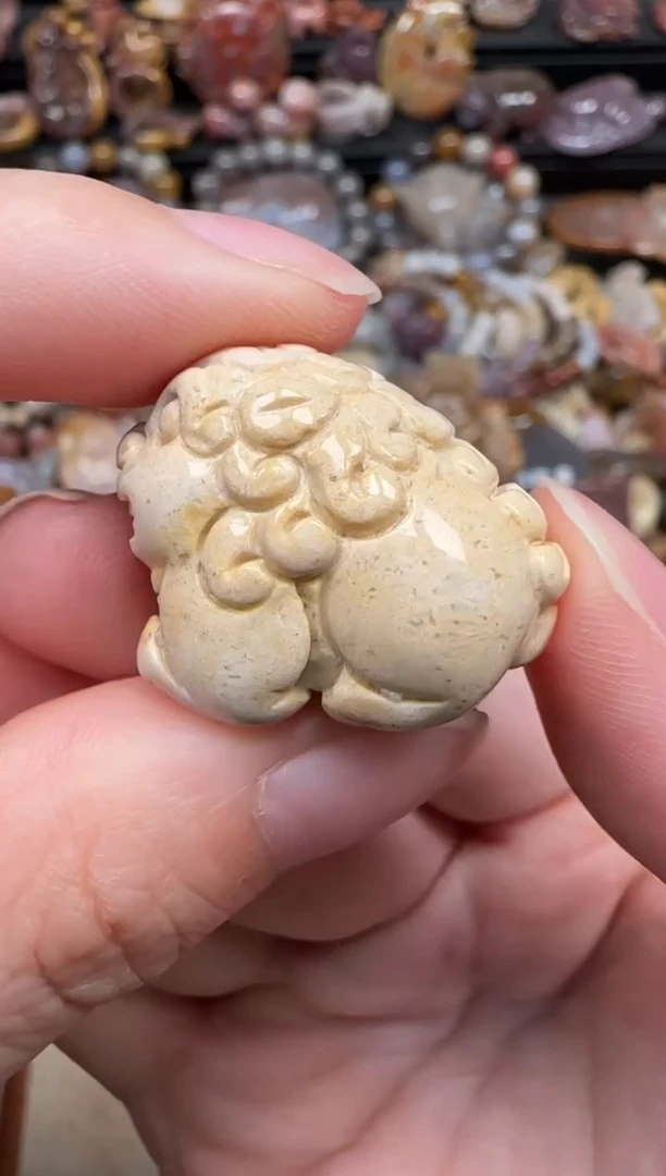 颈饰未镶嵌硅化珊瑚（珊瑚玉）064