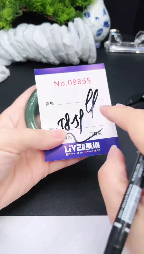 未镶嵌手镯翡翠9865