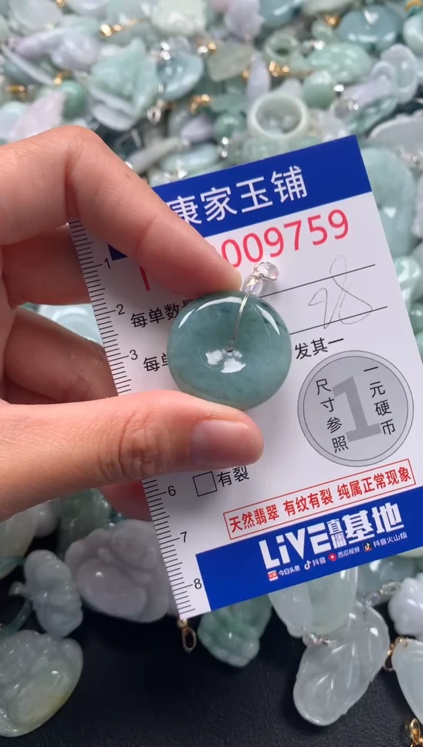 颈饰未镶嵌翡翠9759