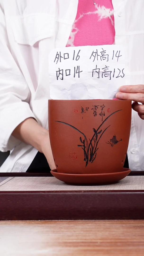 紫砂花盆清水泥君子兰2号一只带托