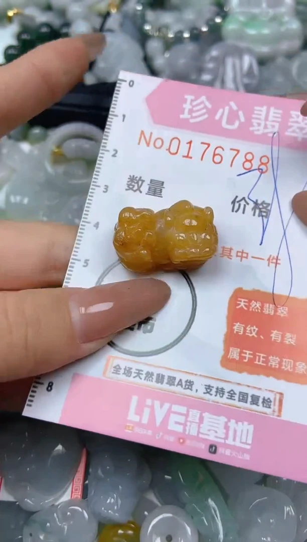 【闪购商品】翡翠颈饰未镶嵌闪购0176788