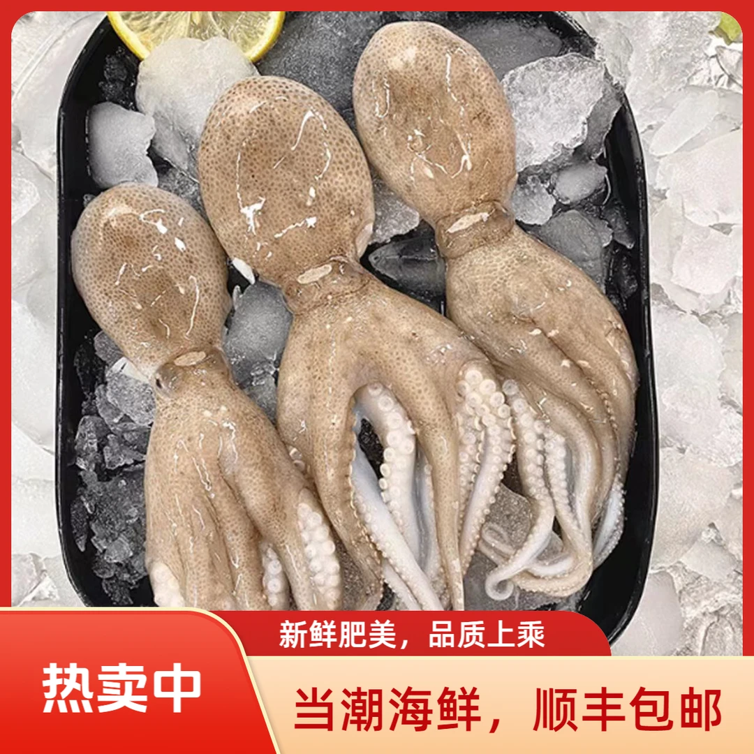 李新鲜速冻八爪鱼海鲜码头产地顺丰冷链速冻直发
