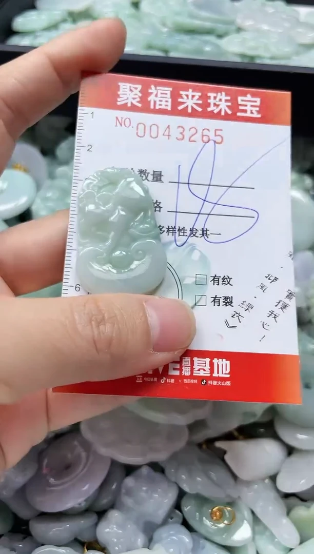 【闪购商品】翡翠颈饰未镶嵌闪购0043265