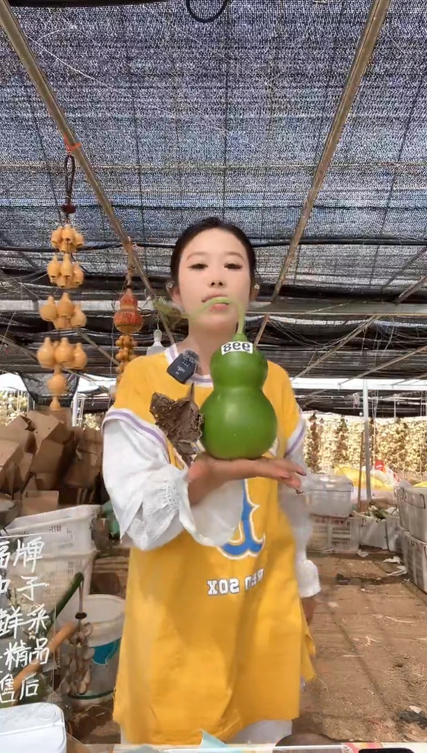 998天然葫芦摆件 一物一拍龙头不保售后