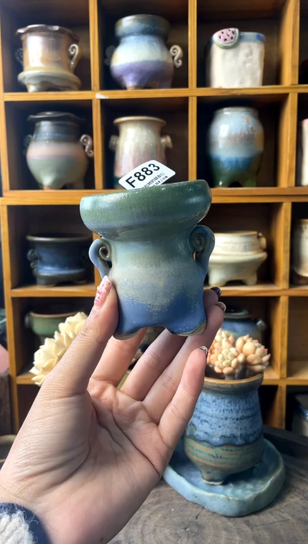 883内口5【多肉花盆多肉盆】