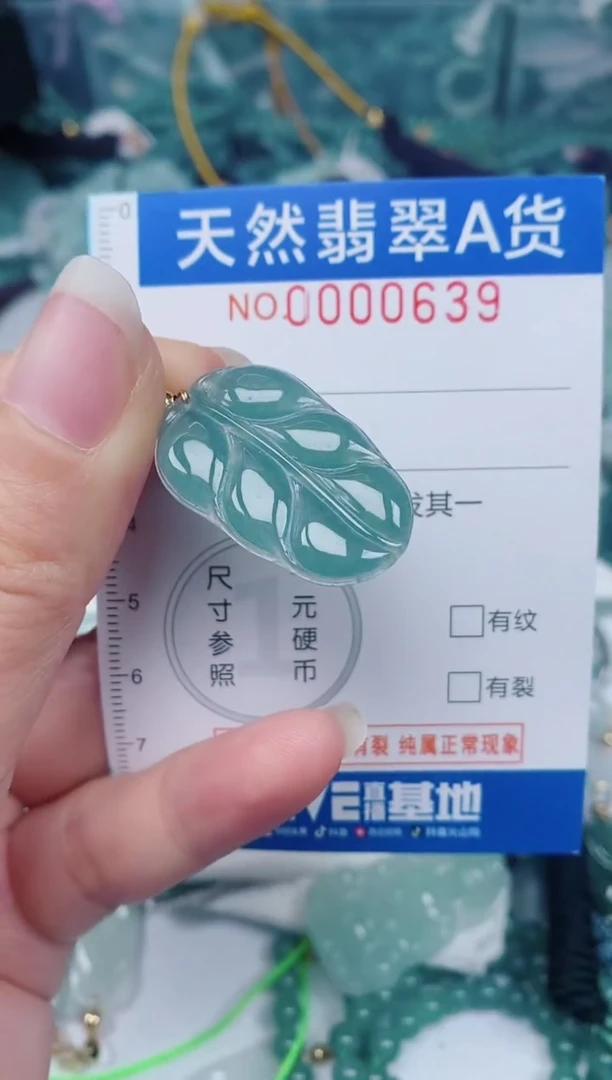 颈饰未镶嵌翡翠00000639