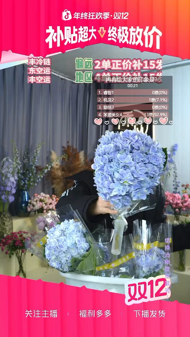 完全开放101号绣球 有色差介意勿拍