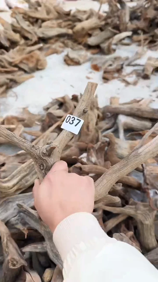 柏木（崖柏）太行陈化崖柏香片！随机一片！（1单1片）037