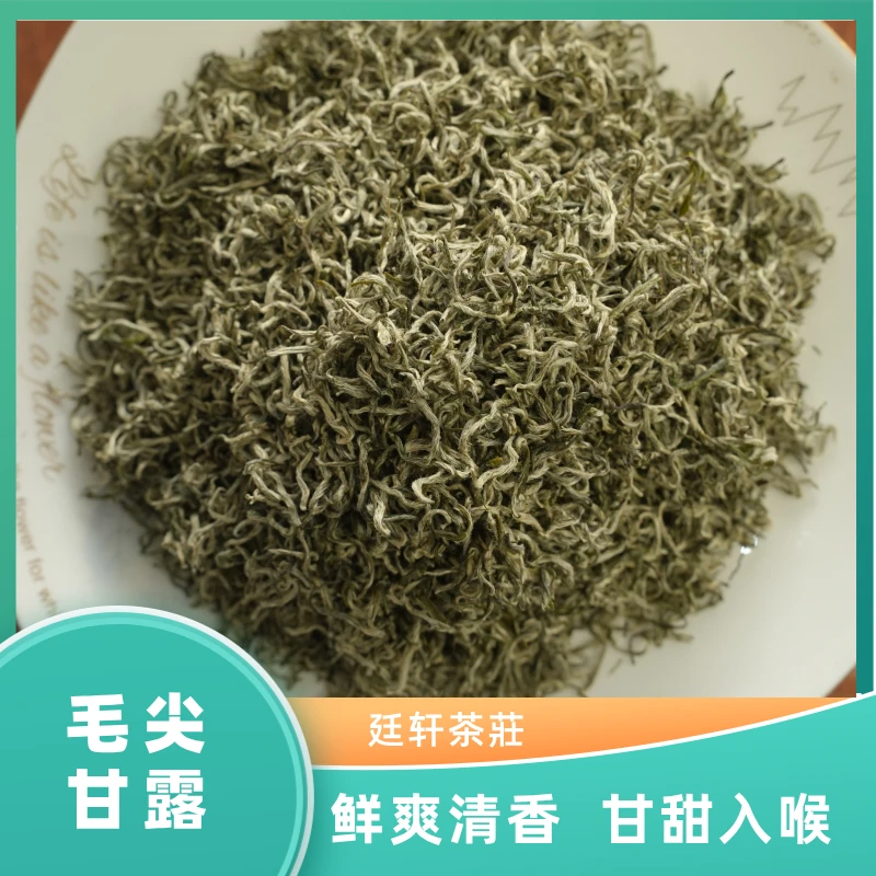 秀山毛尖甘露 鲜爽清香