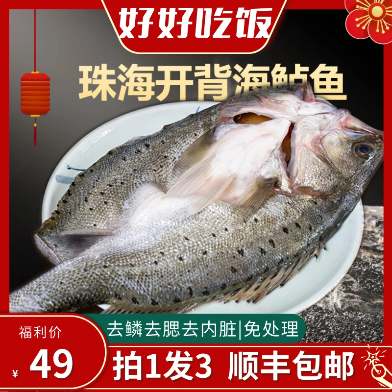 珠海妙龄海鲈鱼3条|顺丰包邮| 新鲜海鲈鱼开背免杀免处理|鲈鱼贵族|珠海海鲈鱼批发|中国海鲈之乡|鲈鱼贵族