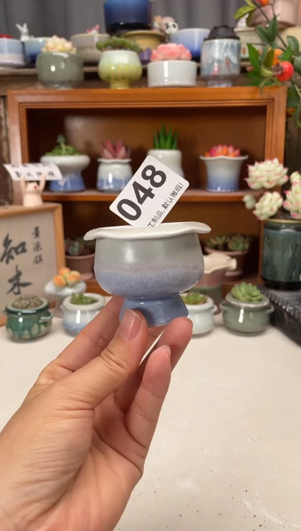 瓷片048知木小芳花盆