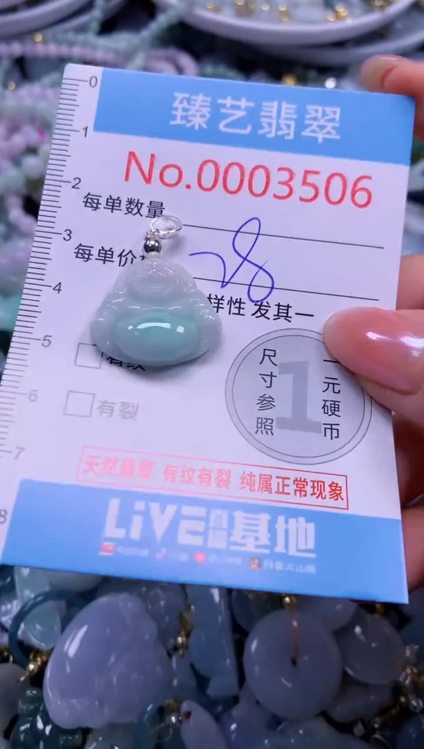 颈饰未镶嵌翡翠3506