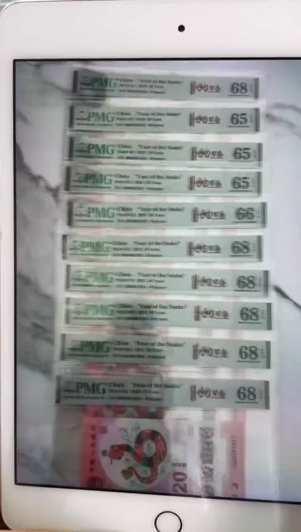 塑料蛇钞大司令PMG 91组标十