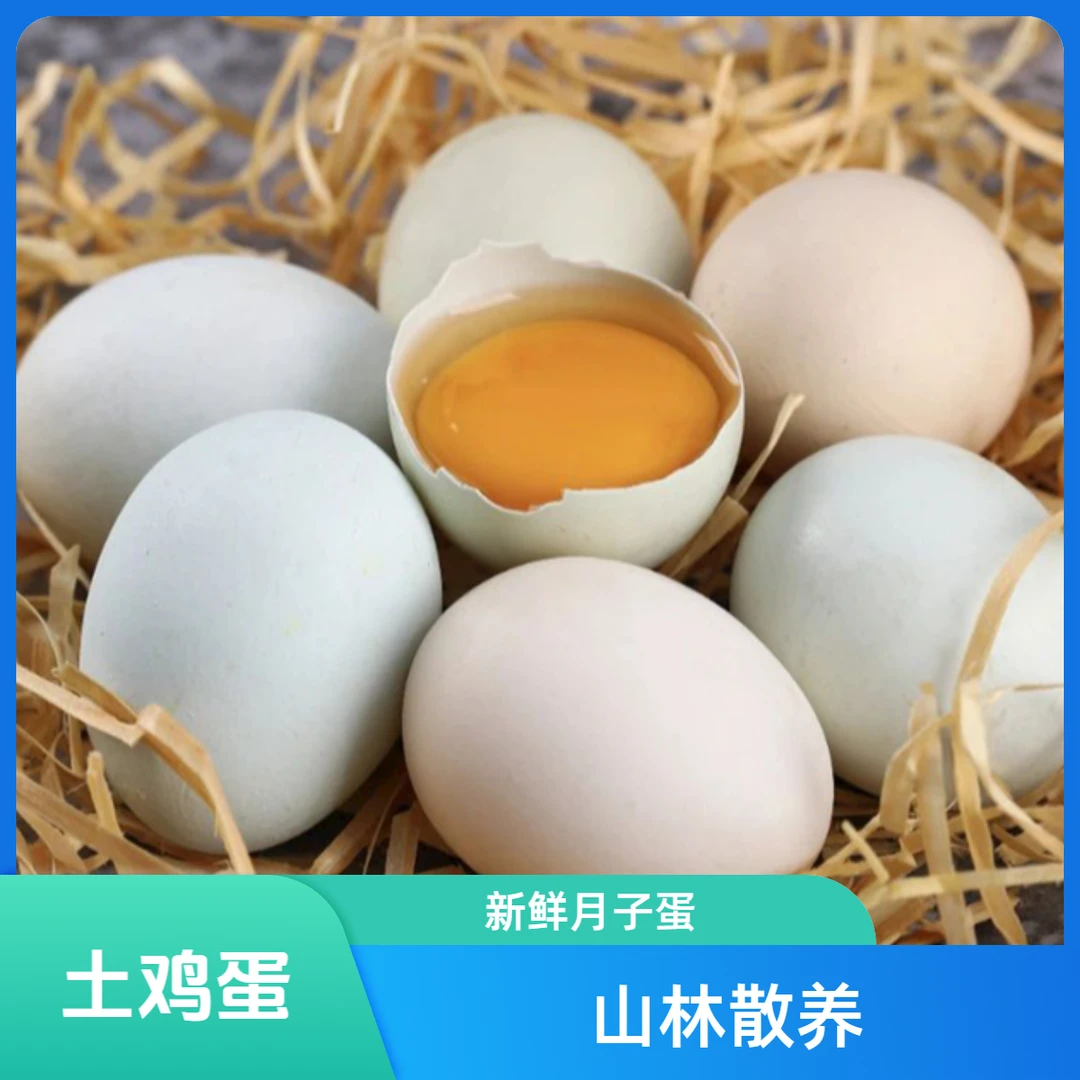 新鲜绿壳粉壳土鸡蛋山林生态散养农产品月子鸡蛋