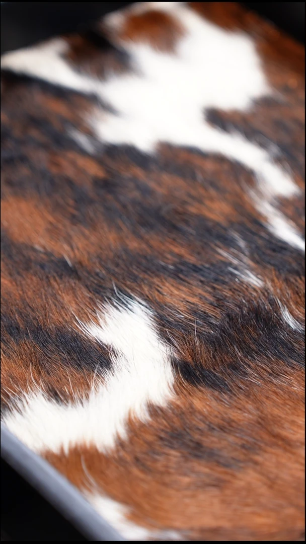 手串/手链橄榄核白**水七星罗汉回血13号