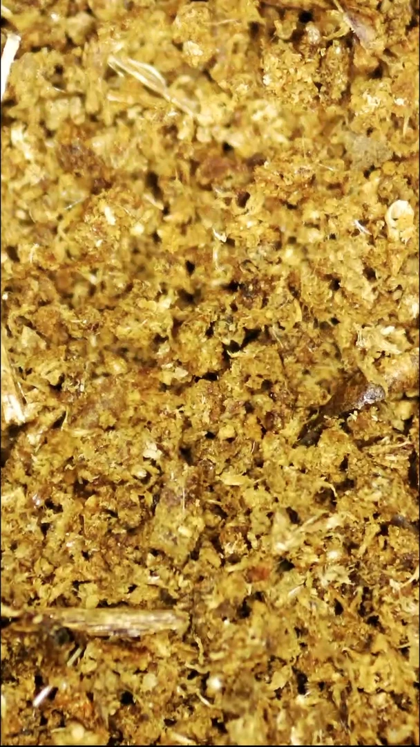 沉香碎屑沉香芽庄白棋沉水粉1克装