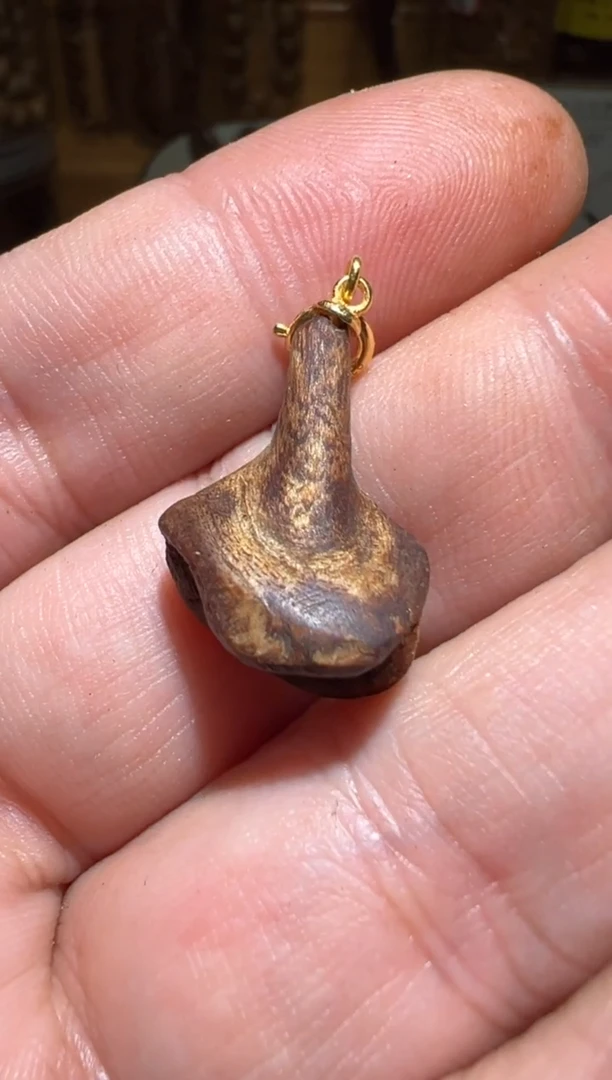 沉香沉香碎屑莱特0.8克