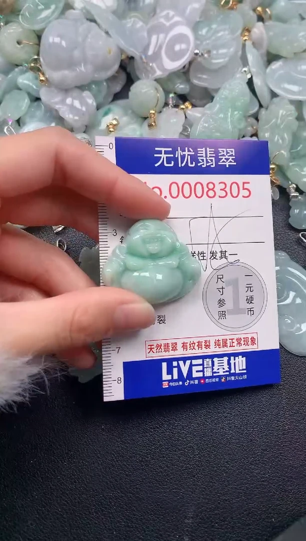颈饰未镶嵌翡翠8305