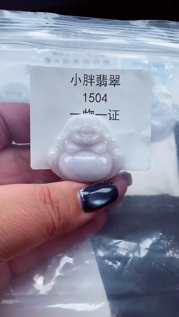 颈饰未镶嵌翡翠缅甸天然A货翡翠1504