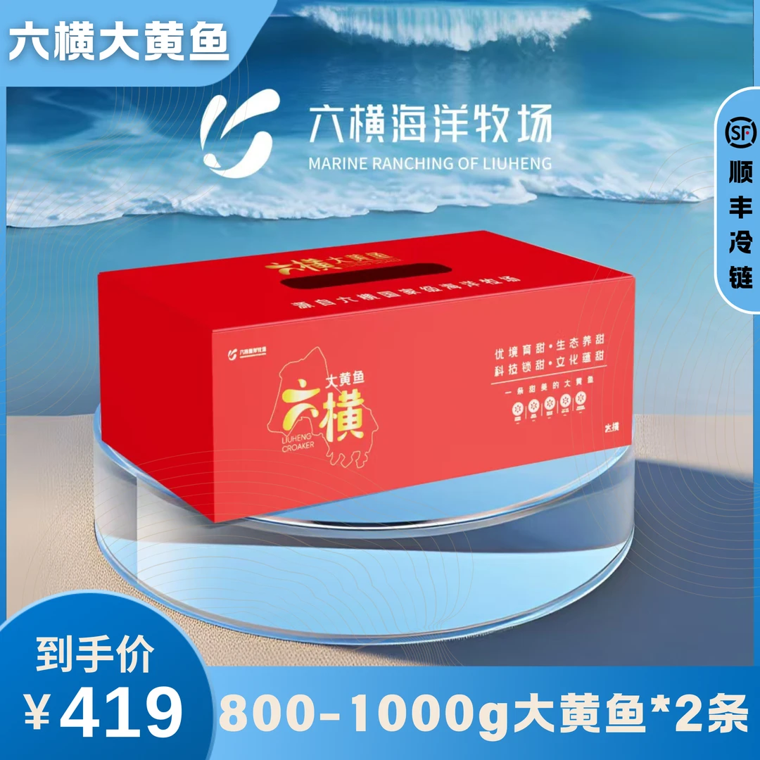 【2条礼盒装】鲜冻六横大黄鱼 2条装（单条800-1000g）源头直发  顺丰冷链包邮炸鱼
