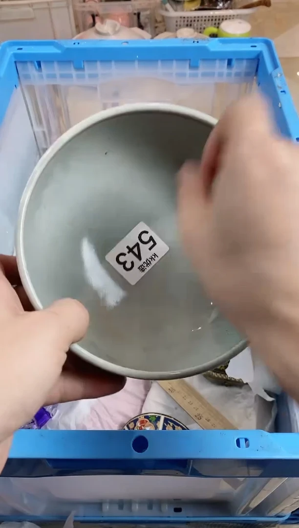 【闪购商品】瓷片543定向 清栀定向 清栀定向 清栀