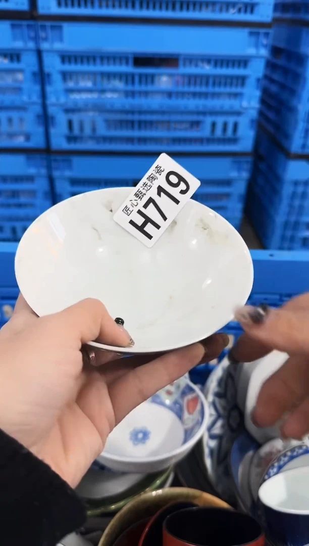瓷片D         H719