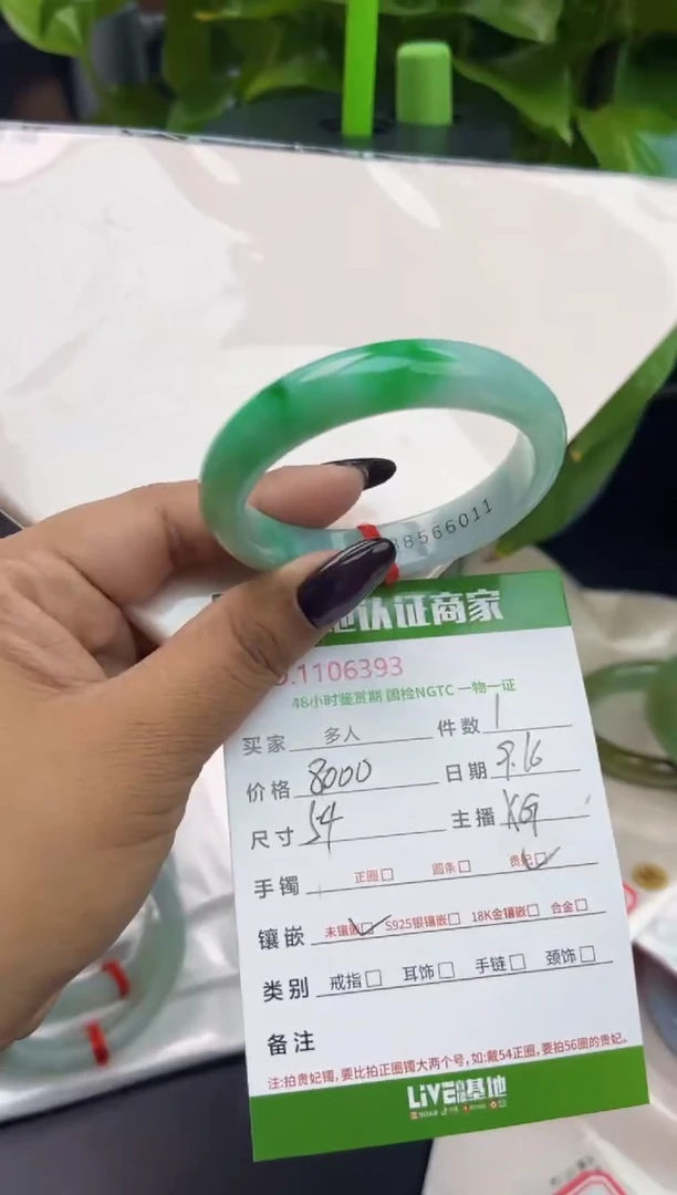 未镶嵌手镯（贵妃镯）翡翠多人