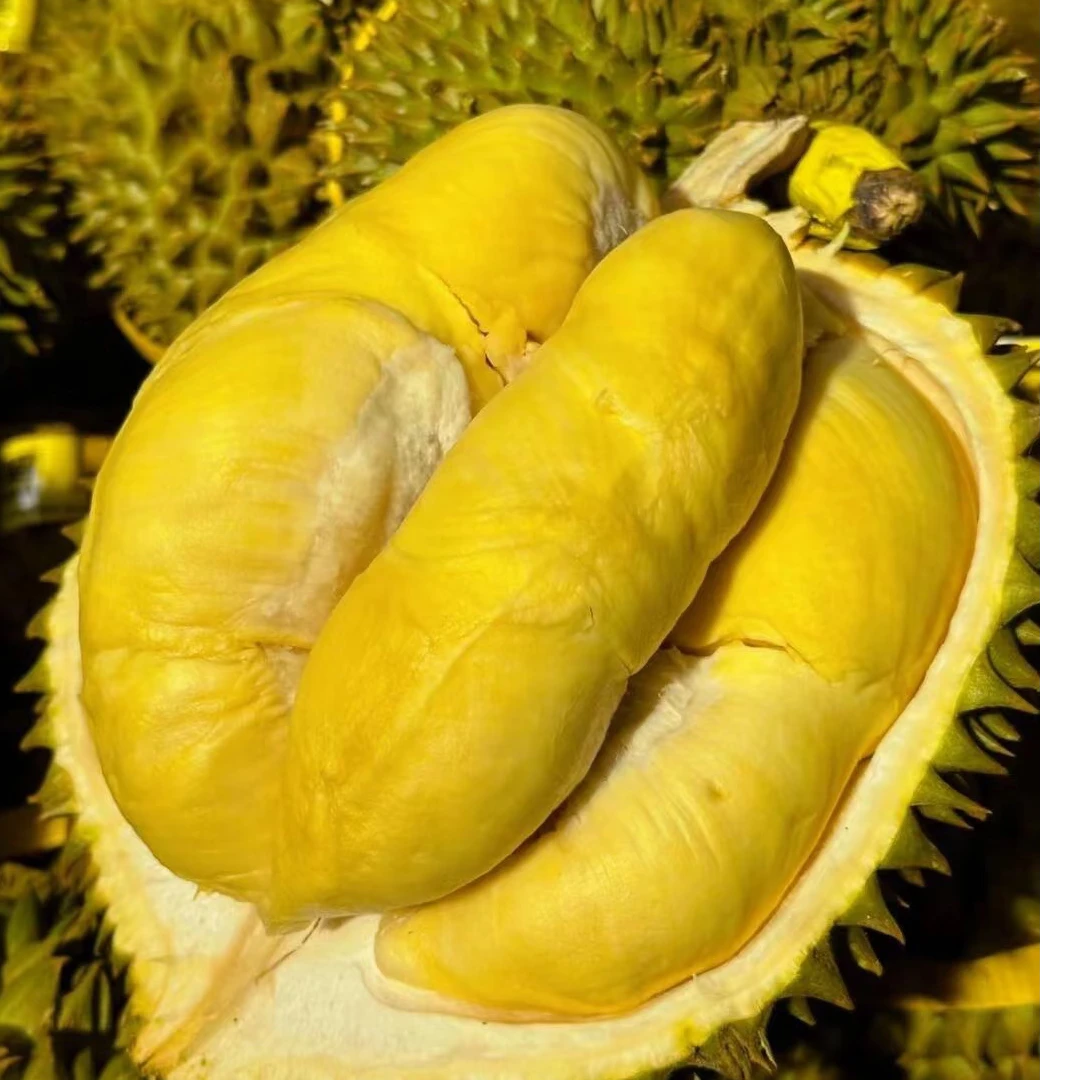【1-2斤干包】新鲜空运泰国树熟AA级金枕榴莲核小金枕泰国