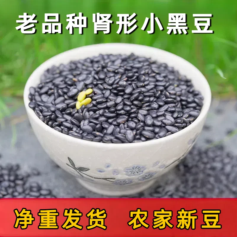 黄心黑豆肾形黑豆老品种黑豆生黑豆 雄黑豆纯黑豆 东北黄心小黑豆