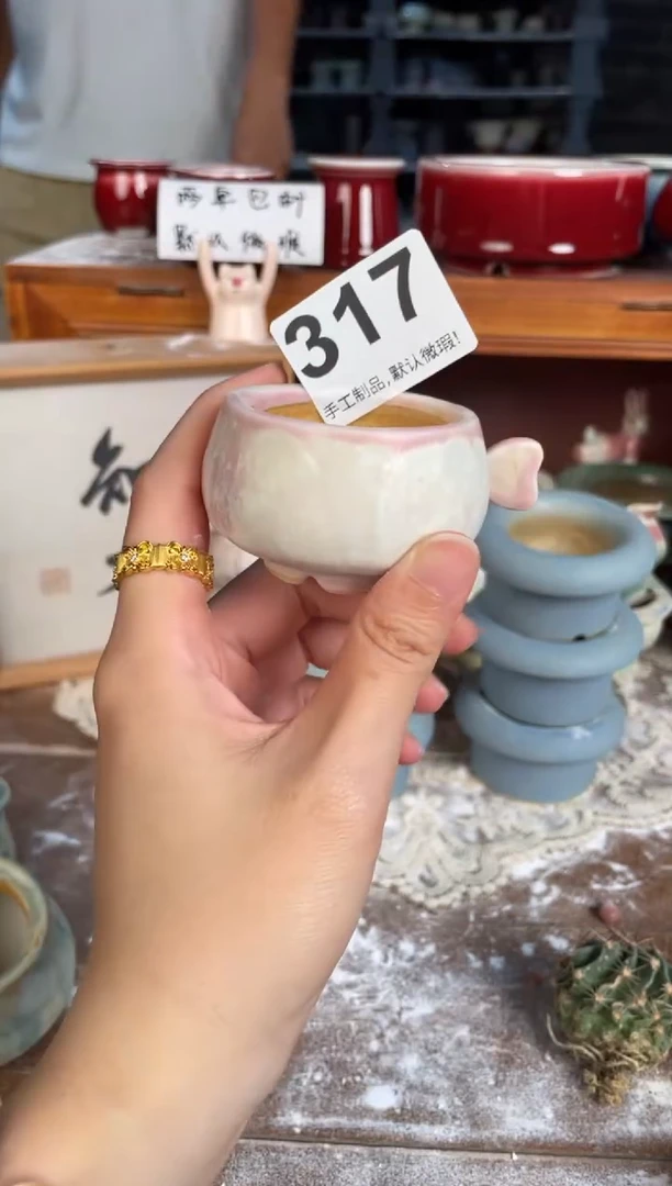 瓷片317知木小芳花盆