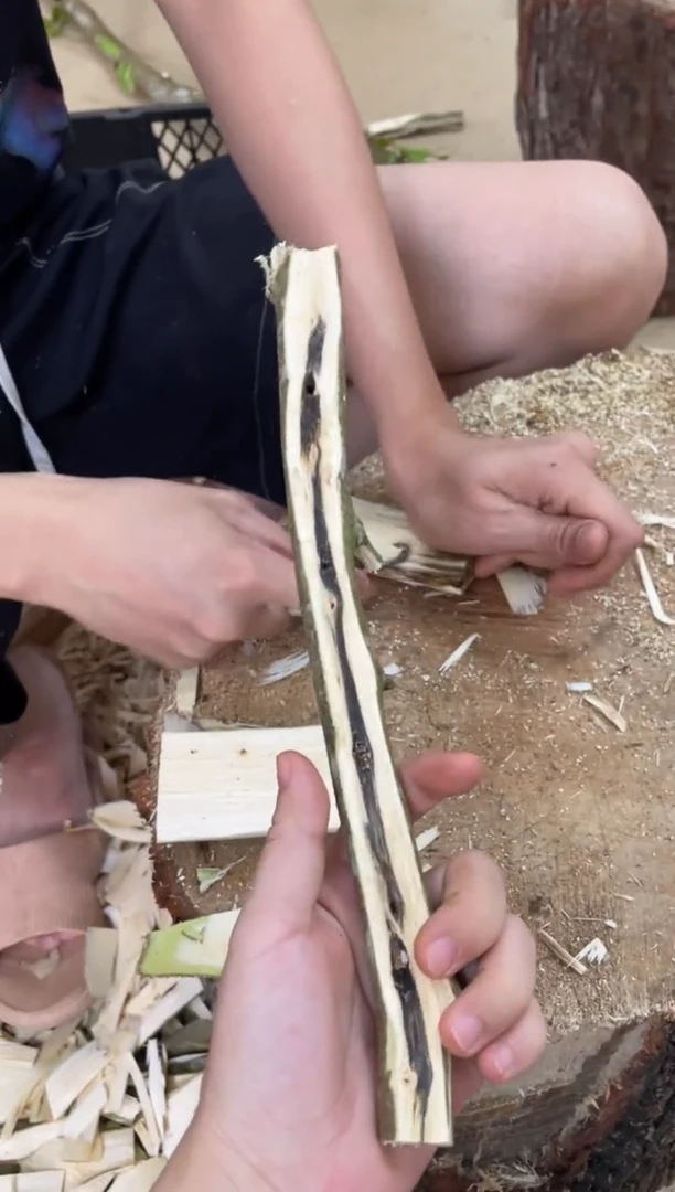 沉香碎屑沉香棋楠沉香 原料文创1