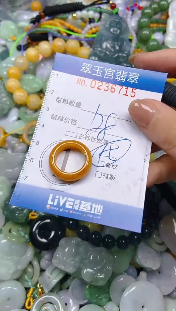 颈饰未镶嵌翡翠闪购C0236715
