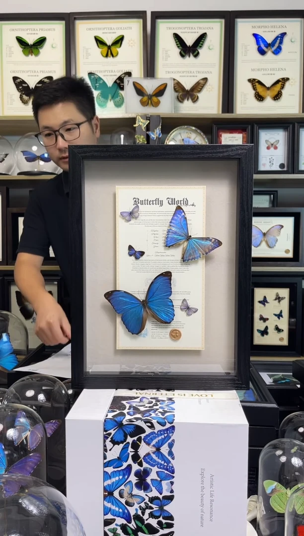 比翼双飞-13寸平框（大蓝闪+西风）