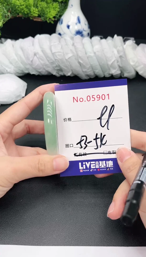 未镶嵌手镯翡翠5901