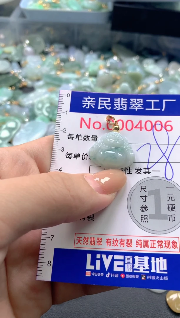 颈饰未镶嵌翡翠4006
