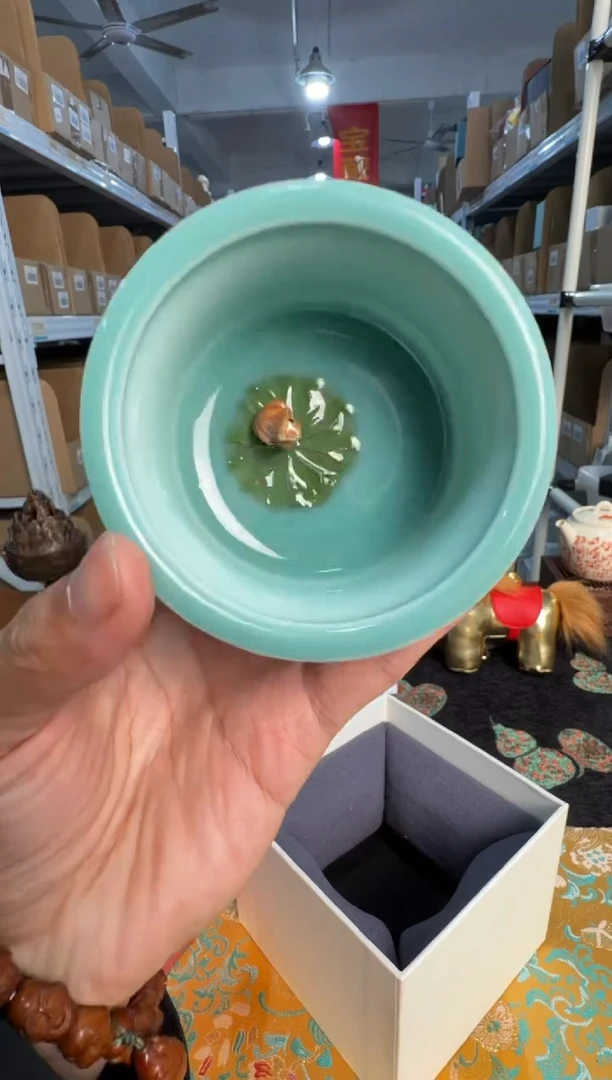 瓷片          @@zgy101