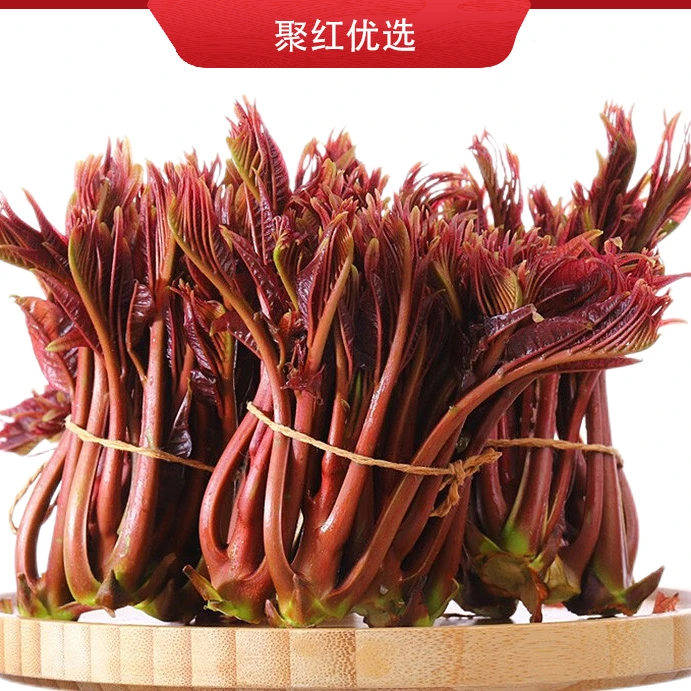 正宗四川大竹红油香椿香椿芽特产原产地现摘现发
