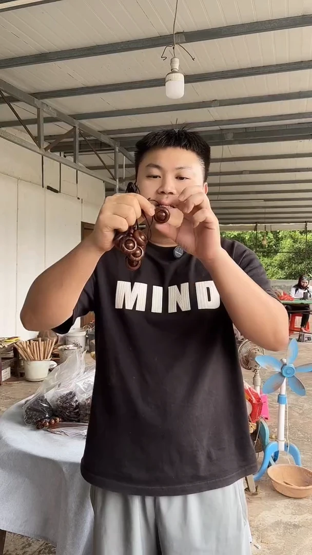 黄花梨/降香黄檀海南黄花梨转运珠