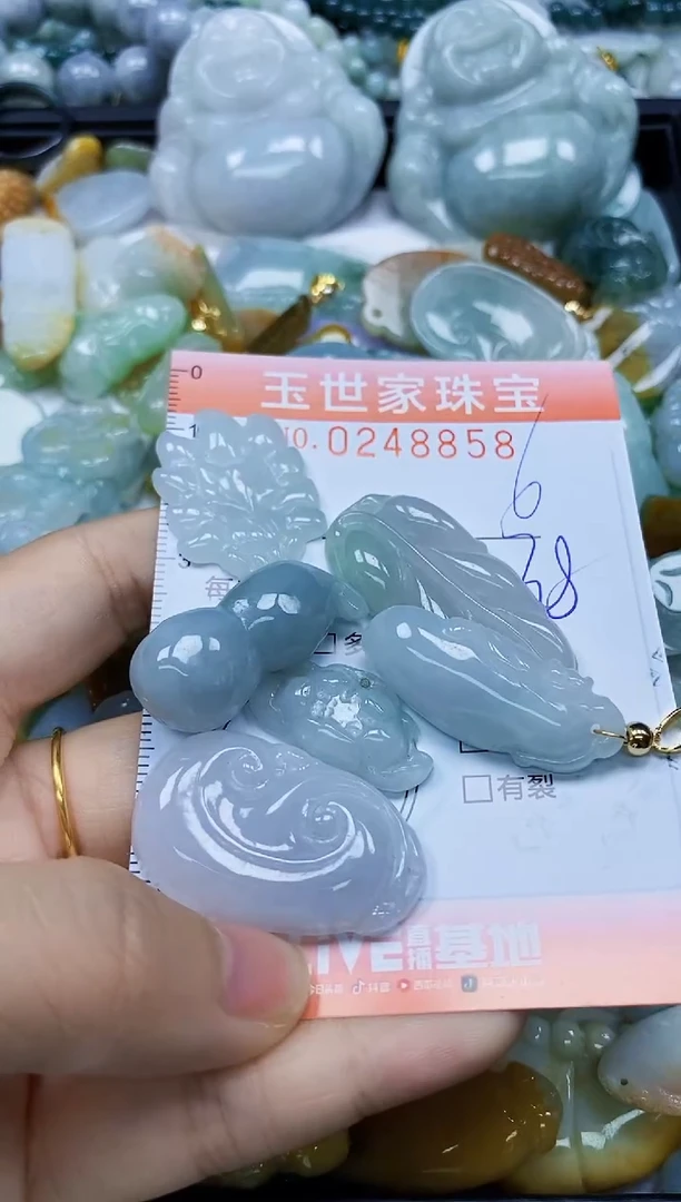 翡翠未镶嵌颈饰闪购0248858