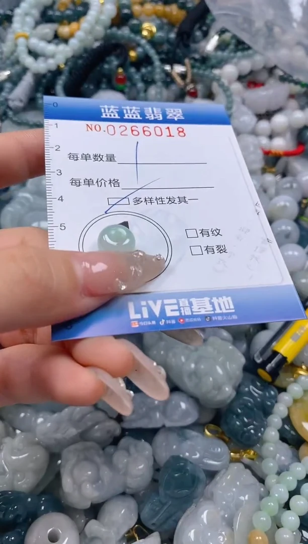 翡翠未镶嵌颈饰闪购0266018多样性发其一