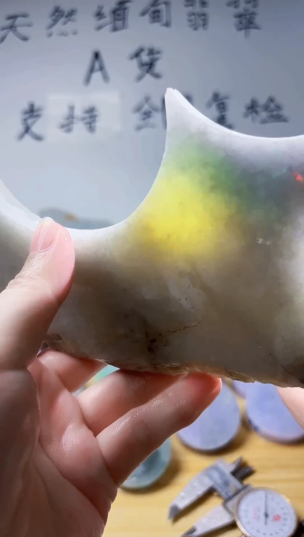 颈饰未镶嵌翡翠翡翠A货 丹797