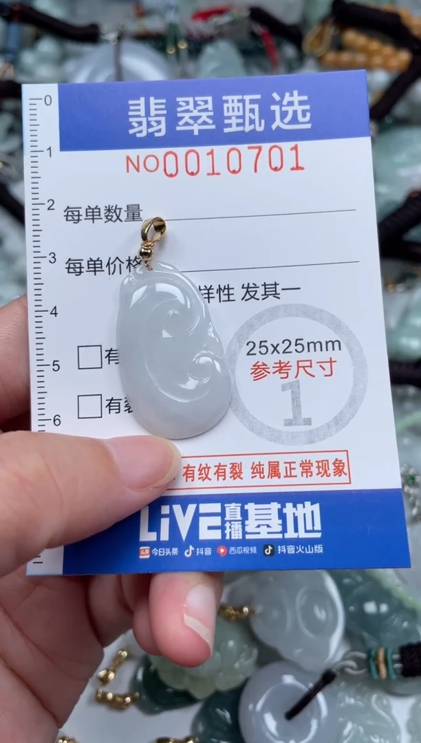 颈饰未镶嵌翡翠10701
