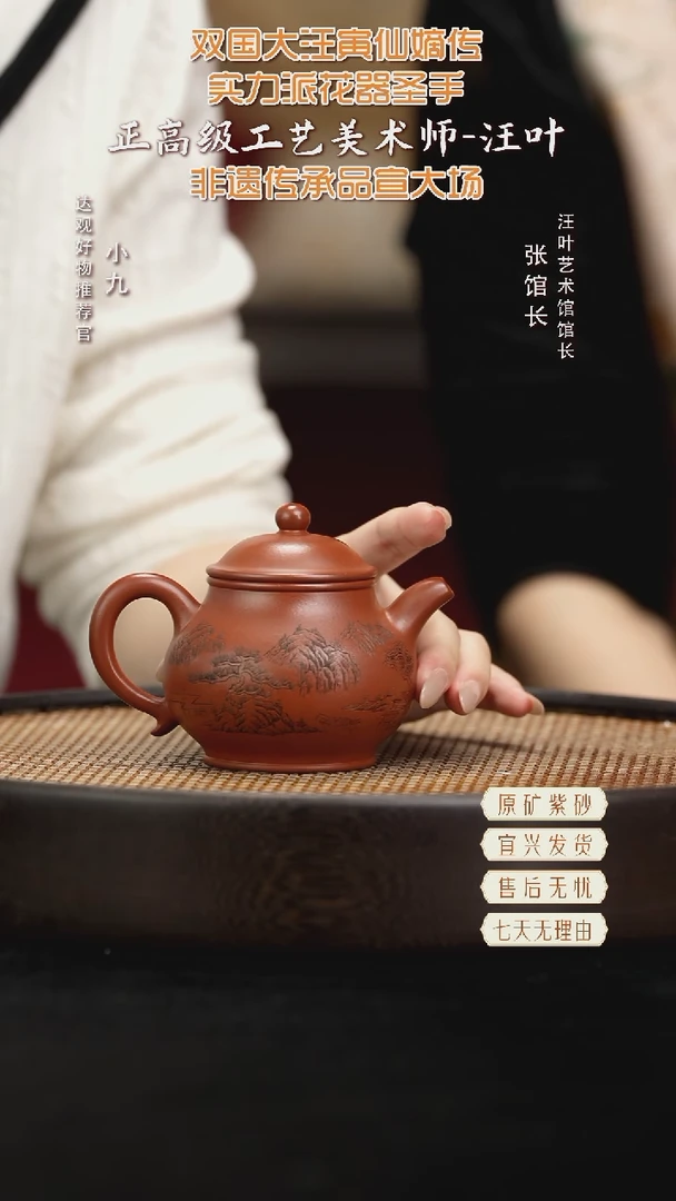 九ZJX54汪叶潘壶大红袍190