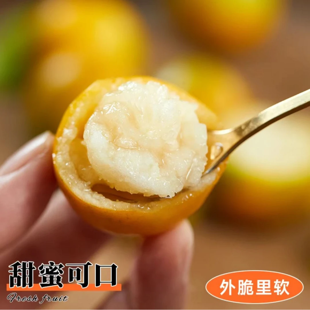 【自留推荐】广西融安脆蜜金柑2盒/4盒精美礼盒装