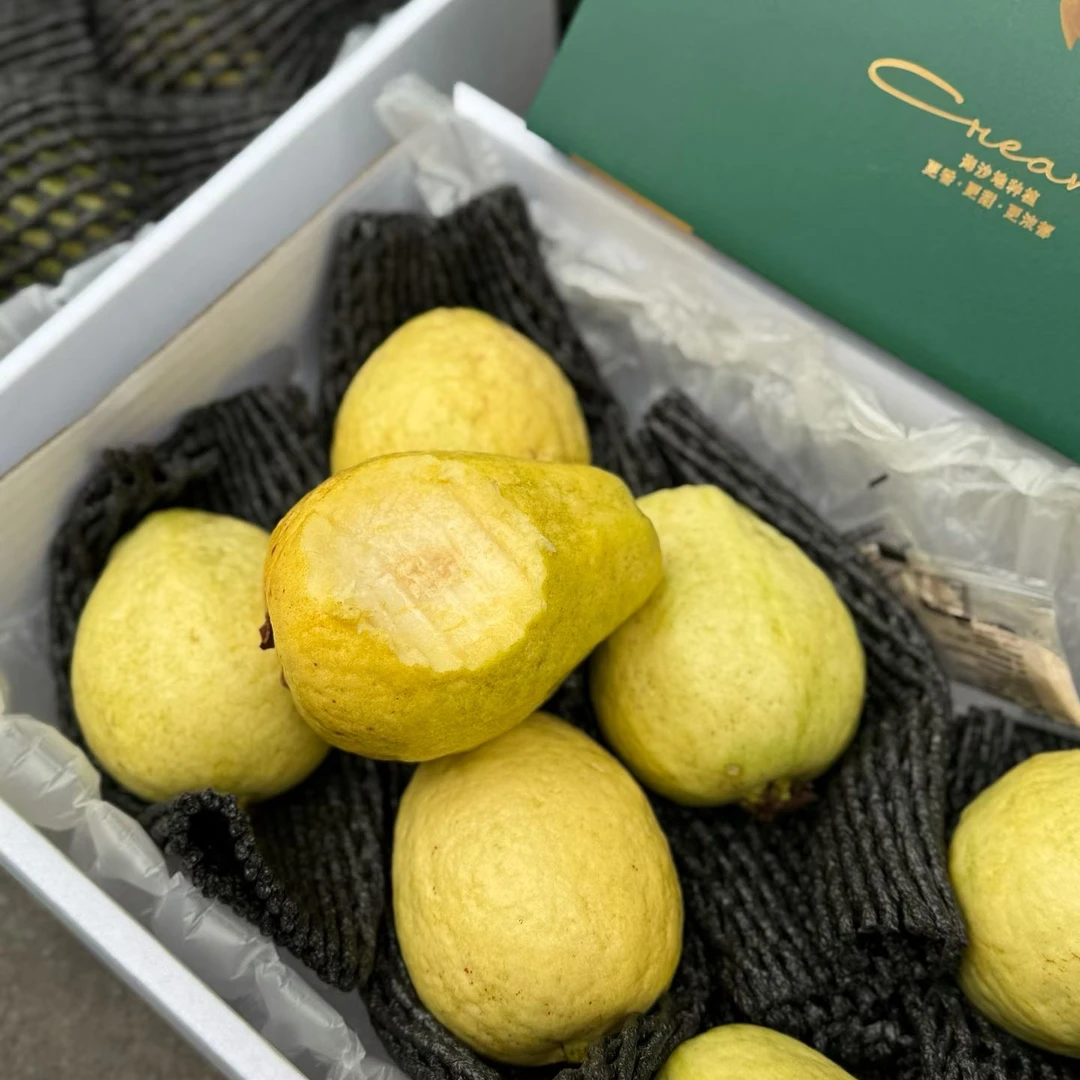 【果叔源选】自然熟奶油白心芭乐1箱2.4-2.6斤  顺丰包邮