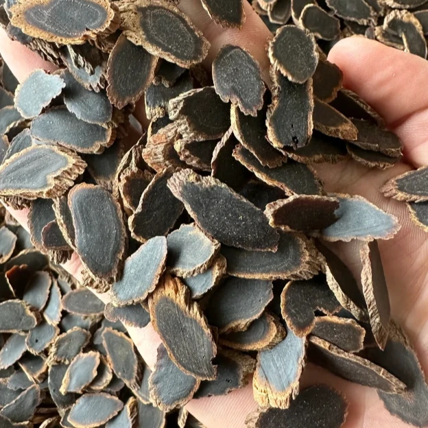 【参海】高丽籽 金边黑参斜切片