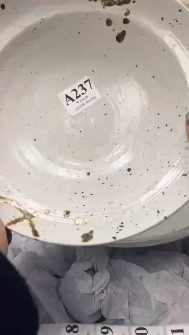 【闪购商品】瓷片          A237