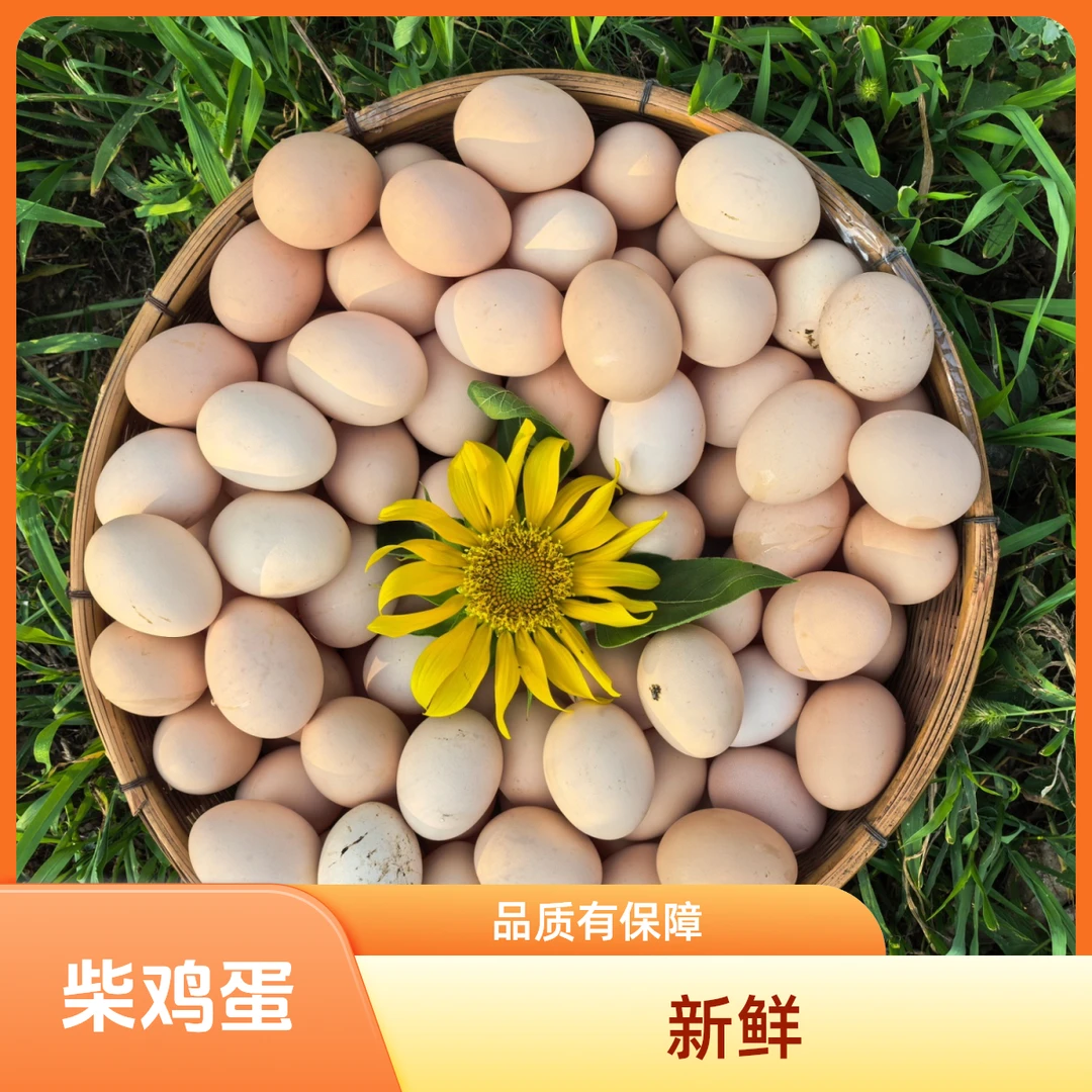 30枚北京昌平林下新鲜特大号100%纯60-7060-70克正宗散养